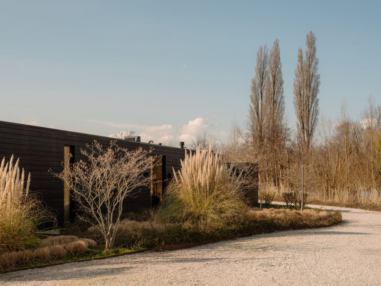 Sfeervolle entreezone met donkere houten gevels, siergrassen, bomen en een licht grindpad in een rustige natuurlijke omgeving